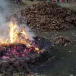 Hvornår er det bedst at bruge bålfadet?